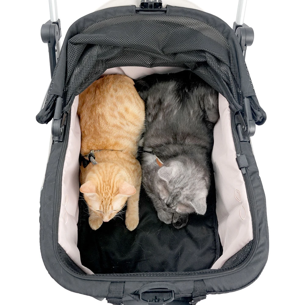 plastic dog playpen setup in Australian backyard with happy dog inside