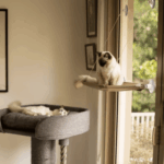 real wood cat tree|brown dog harness