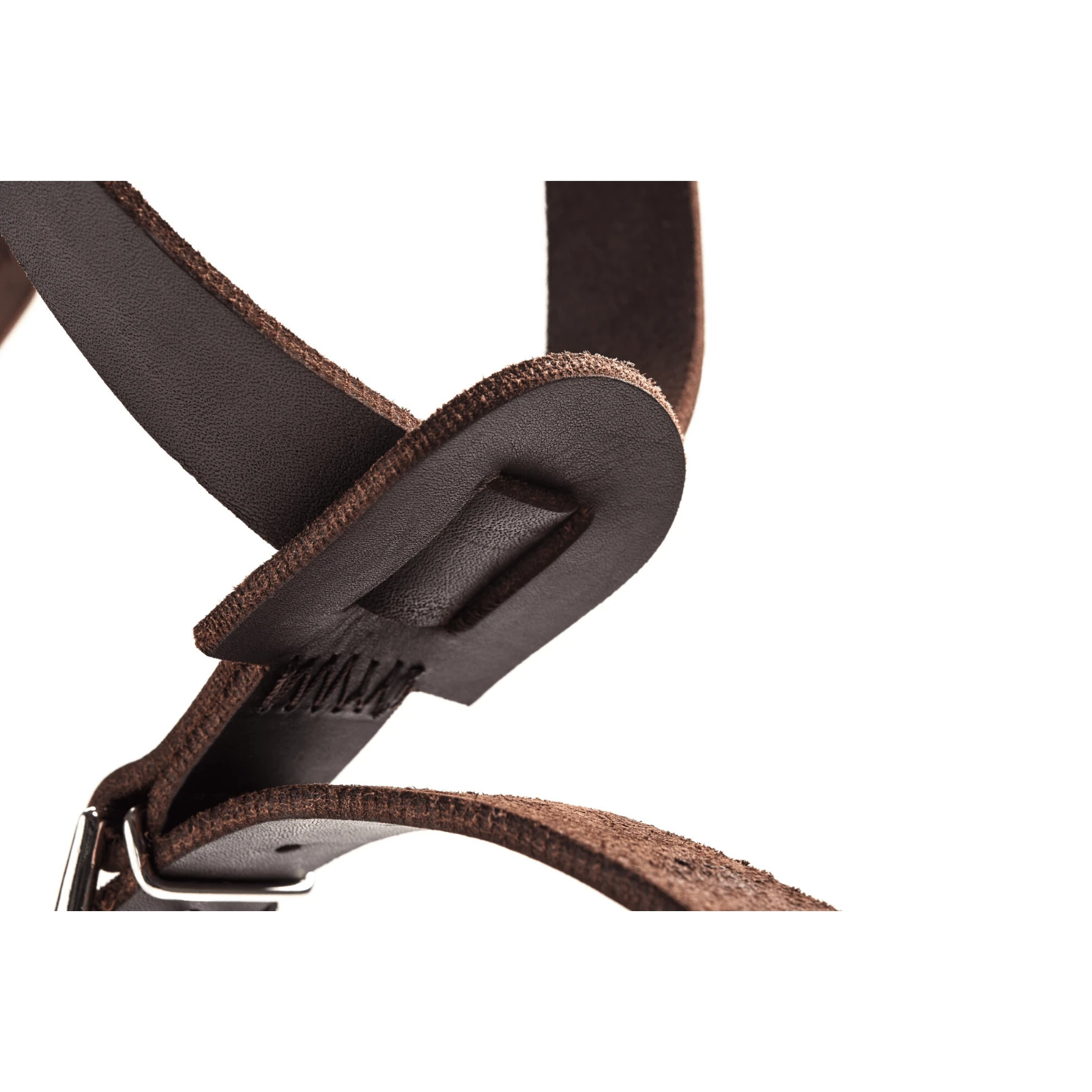 happy cat using huge cat litter box inside Loft Cabinet