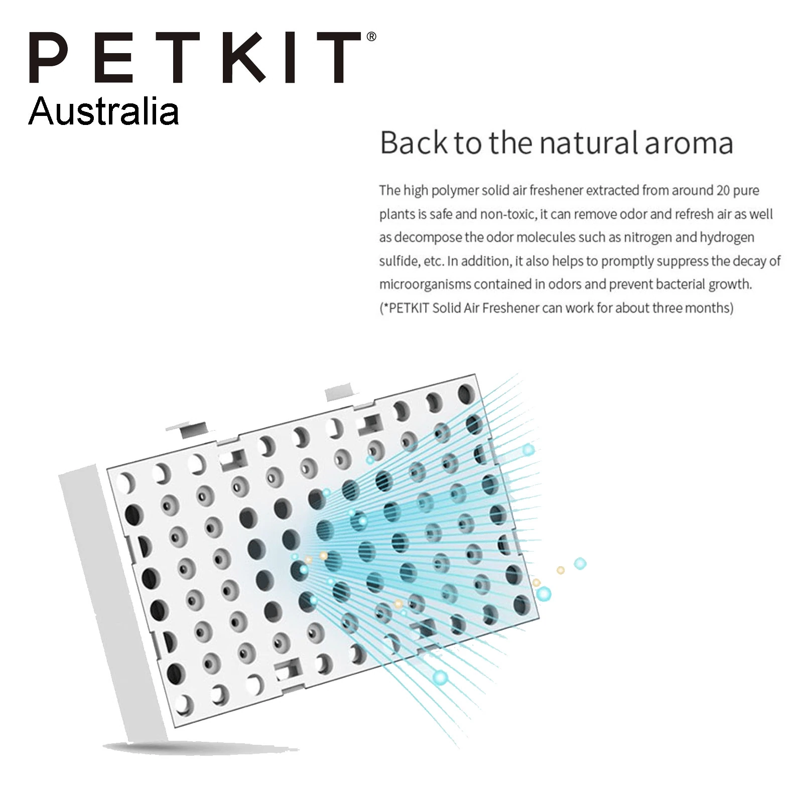 dog carrier bags for small dogs side-by-side comparison on Melbourne tram seat