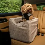 dog car seat covers